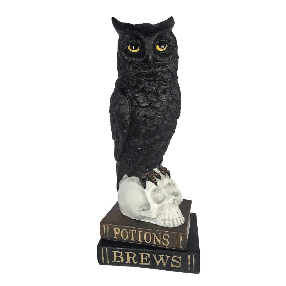 Black Owl Skull Potions Brews Books Figurine 15in Gothic Halloween Decor New